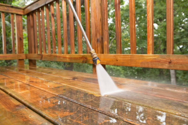 Best Roof Pressure Washing  in Sconsin Dells, WI